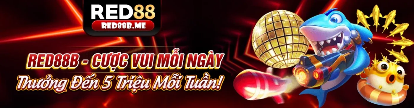 Hình ảnh minh họa các điều khoản và điều kiện chung của s88bet